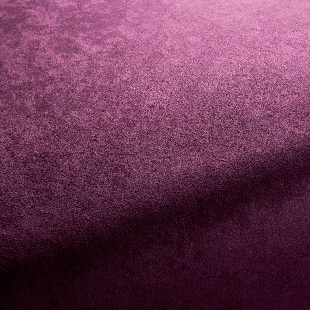 Dieser Bezugsstoff ist ein Upgrade für jedes Möbel: JABANA. Ganz unkompliziert gibt sich dieser Möbelstoff aus Microfaser und bietet zudem ein faszinierendes Farbspektrum von 62 Couleurs an. Ein Bestseller par excellance! Dieser Bezugsstoff ist ein Upgrade für jedes Möbel: JABANA. Ganz unkompliziert gibt sich dieser Möbelstoff aus Microfaser und bietet zudem ein faszinierendes Farbspektrum von 62 Couleurs an. Ein Bestseller par excellance!